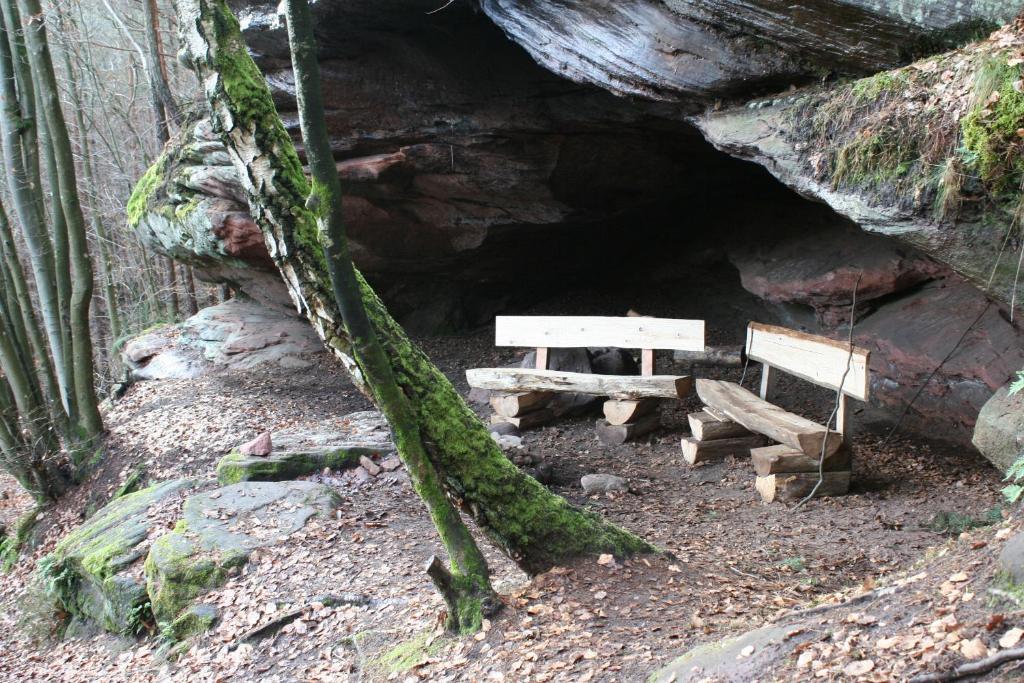 Příroda nedaleko apartmánu