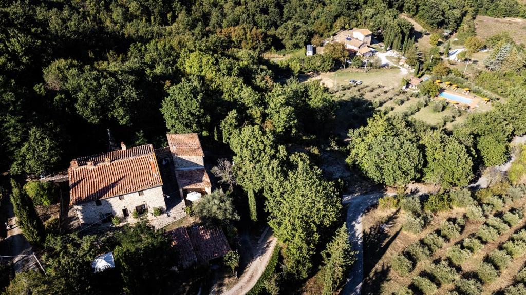 eine Luftansicht eines Hauses im Wald in der Unterkunft Agriturismo Santa Caterina in Castelnuovo di Val di Cecina