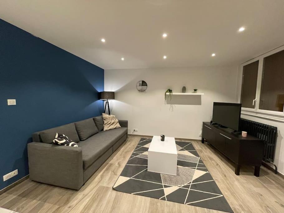 a living room with a couch and a tv at Charmant appartement une chambre in Ville-la-Grand