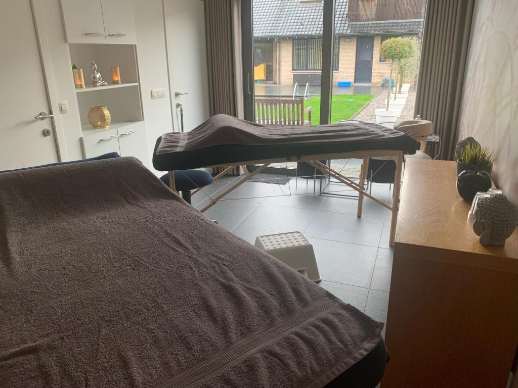 Posezení v ubytování Q Guesthouse