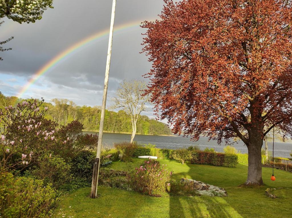 Zahrada ubytování Gæstehus Sorø Sø