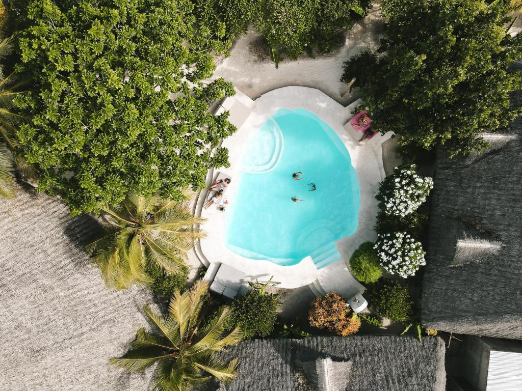 an overhead view of a pool with people in the water at Seconda Stella in Jambiani
