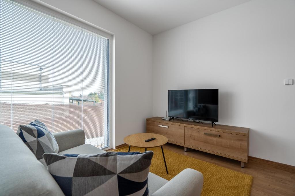 TV a/nebo společenská místnost v ubytování Apartmány Pustiměř