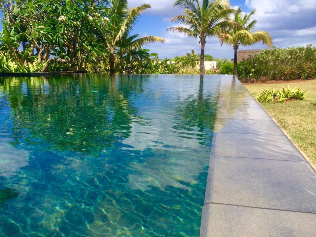 an infinity pool with palm trees and a sidewalk at Villa Serenité in Bel Ombre