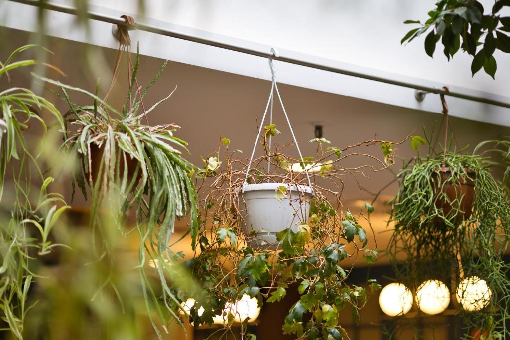 B&B HOTEL Brussels Centre Louise - Resim 41