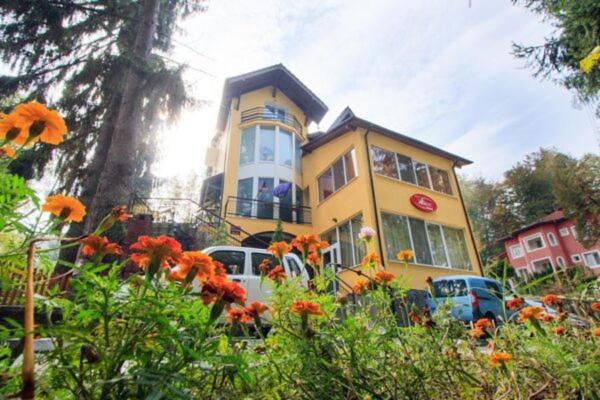 Gallery image of Hotel Alice in Băile Olăneşti