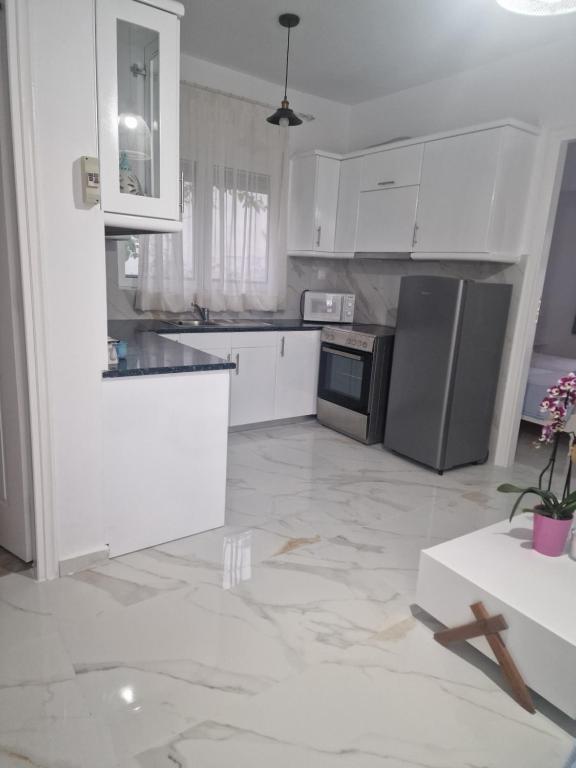A kitchen or kitchenette at Maria's Apartments