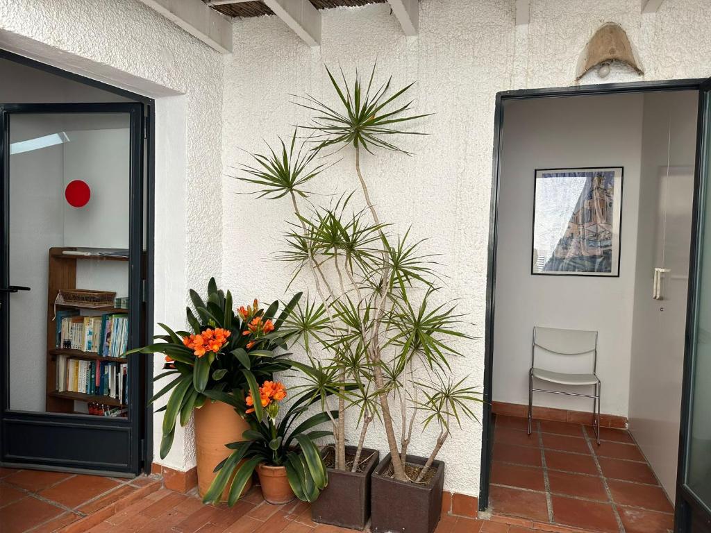 a room with potted plants on the wall and a chair at Casa Pier in Altea