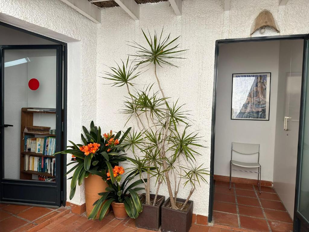 アルテアにあるCasa Pierの鉢植えの壁と椅子が備わる部屋