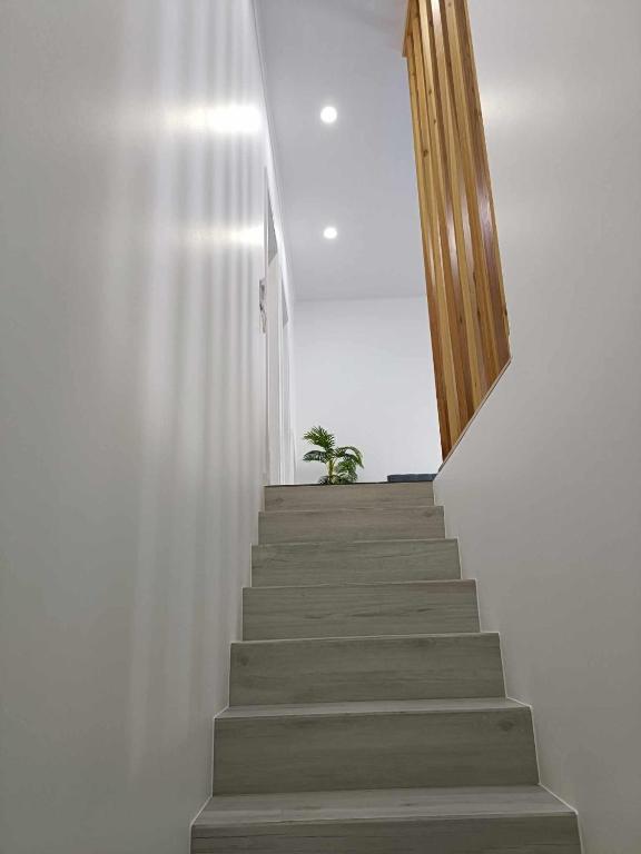 a stairway leading up to a building with a wooden door at São Miguel Apart. in Vila Franca do Campo