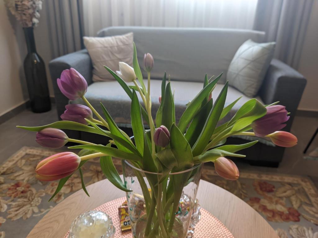 Aristo Central Apartments - 14