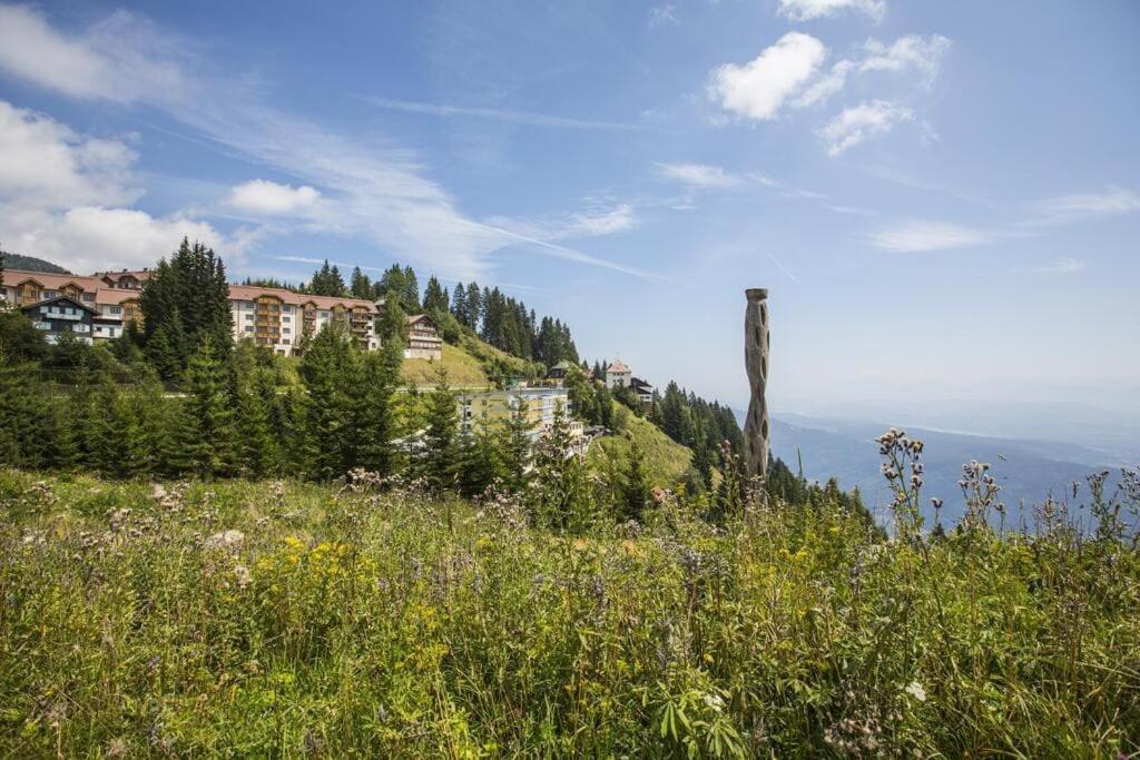 Příroda nedaleko apartmánu
