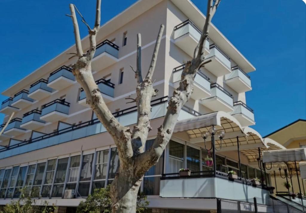 un bâtiment avec un arbre en face dans l'établissement Hotel Kursaal, à Bellaria-Igea Marina