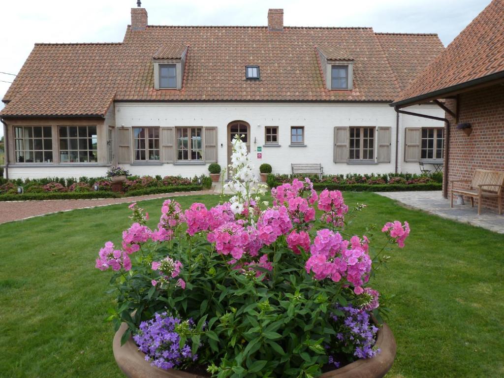 una casa con una maceta de flores en el patio en B&B 't Hof van Spiere, en Spiere