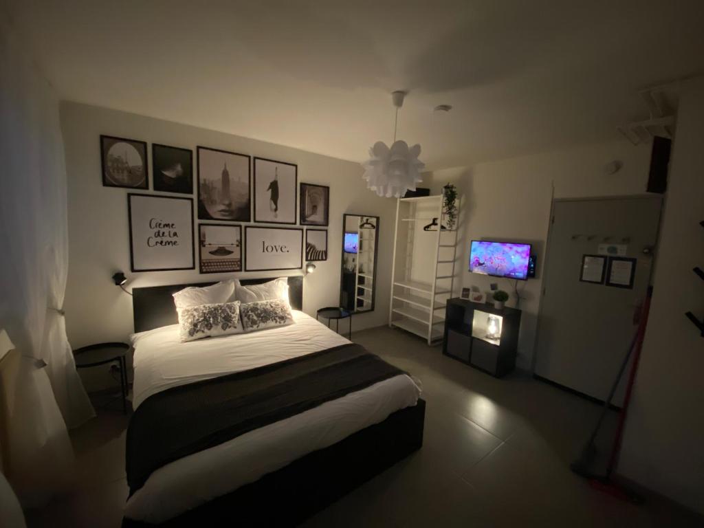 a bedroom with a large bed and a television at Travel Homes - Le Bright'N Cosy en pleine ville in Mulhouse
