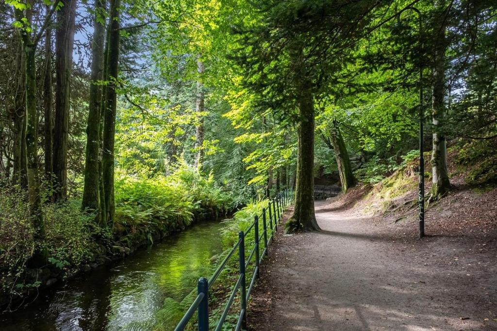 un sentiero accanto a un fiume con alberi e una recinzione di Sandnes leilighet a Sandnes