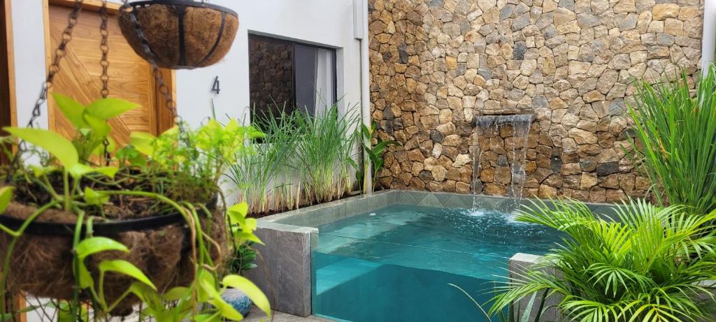 una piscina en un jardín con plantas en The Stone Elephant - A place to relax in town with Hot Water and a Pool en San Juan del Sur