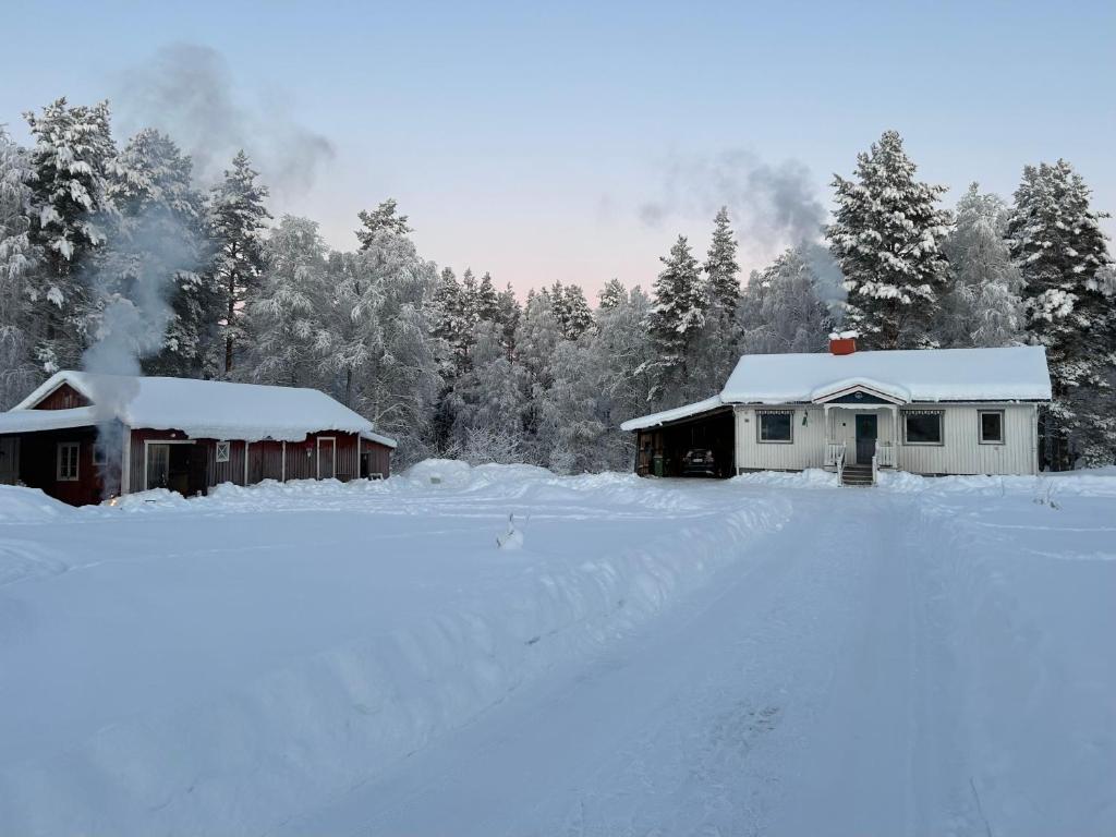 zwei Häuser auf einem schneebedeckten Feld in der Unterkunft Sixty Six Degrees North - Lapland Home & Forest in Överkalix
