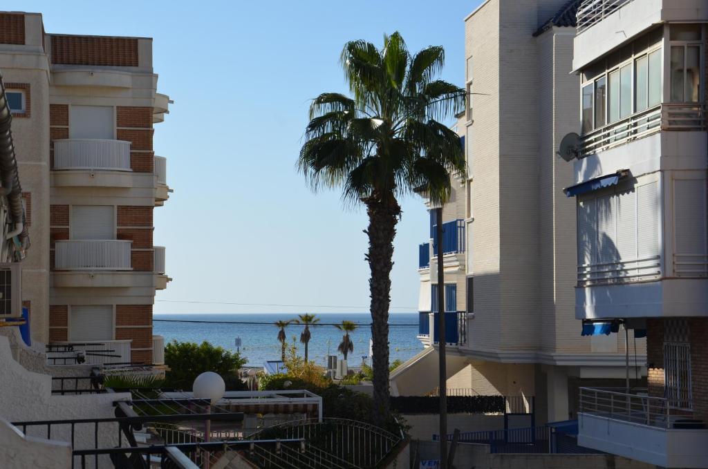 a palm tree next to some buildings and the ocean at Casita Amalia in Santa Pola