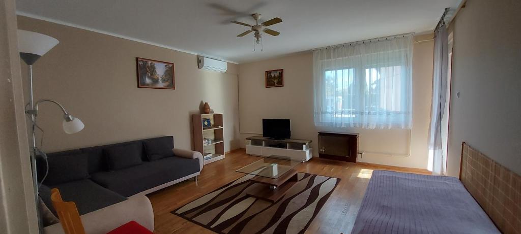 a living room with a couch and a tv at Balaton apartman in Balatonboglár