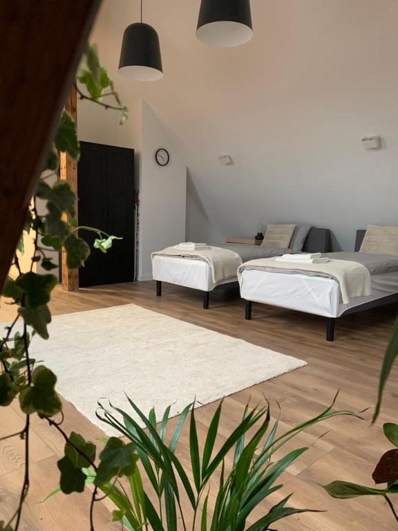 2 camas en una habitación con 2 camas en Apartamenty Astor - Księżycowy, en Szczawno-Zdrój