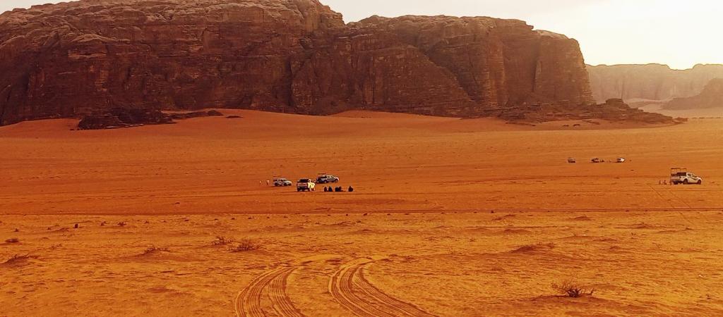 eine Gruppe von Tieren, die durch die Wüste gehen in der Unterkunft Alarb Quiet Camp in Wadi Rum