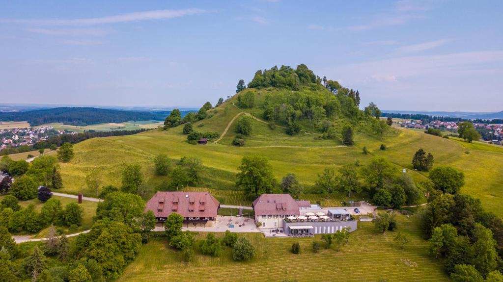 una vista aerea di una casa su una collina di Hotel Hofgut Hohenkarpfen a Hausen ob Verena