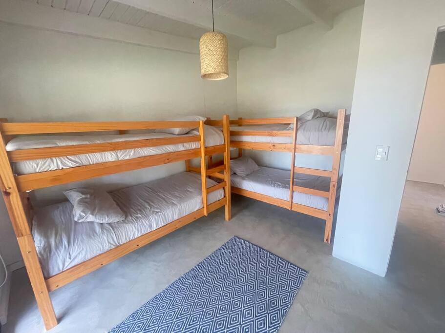 two bunk beds in a room with a blue rug at CASA NEGRA Jose Ignacio in José Ignacio