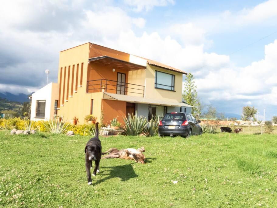 ein Hund, der im Gras vor einem Haus läuft in der Unterkunft Finca El Ciprés in Tuta