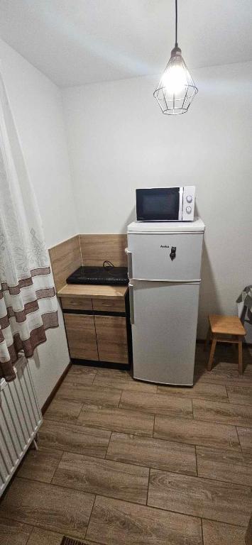 Kuchyň nebo kuchyňský kout v ubytování U Jędrusia