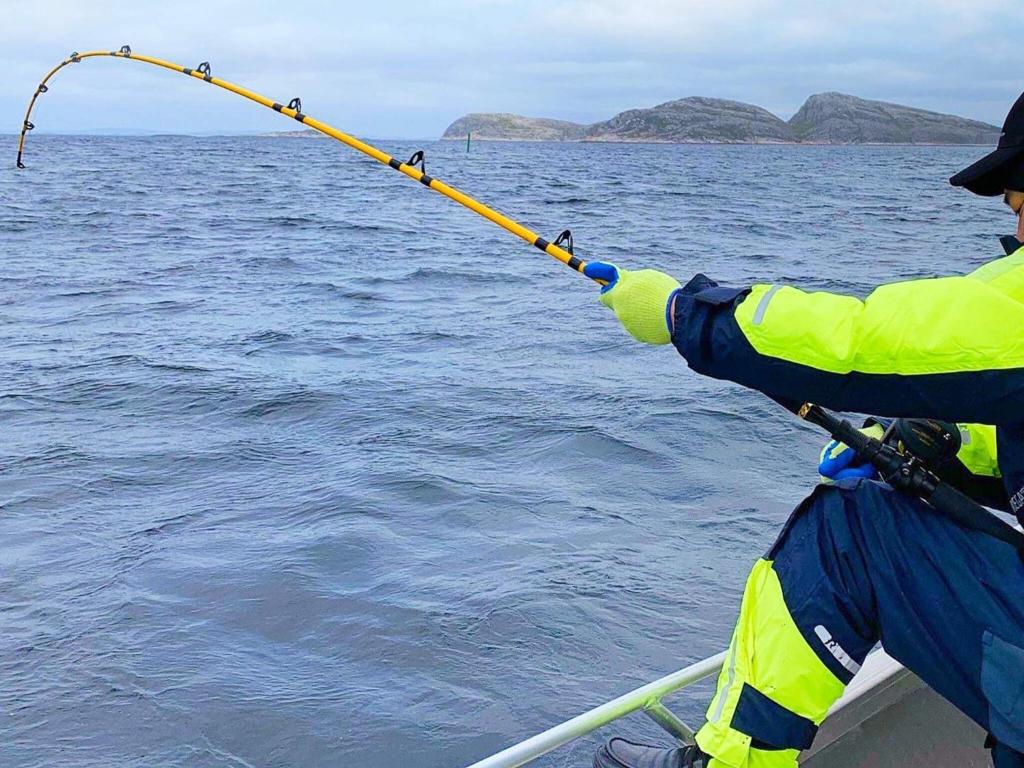 un uomo che tiene una canna da pesca in acqua di Holiday home Nordfold a Nordfold