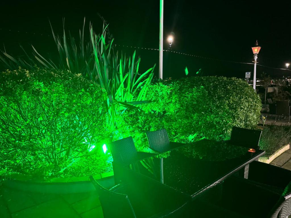 Winchmore Hotel - Resim 11