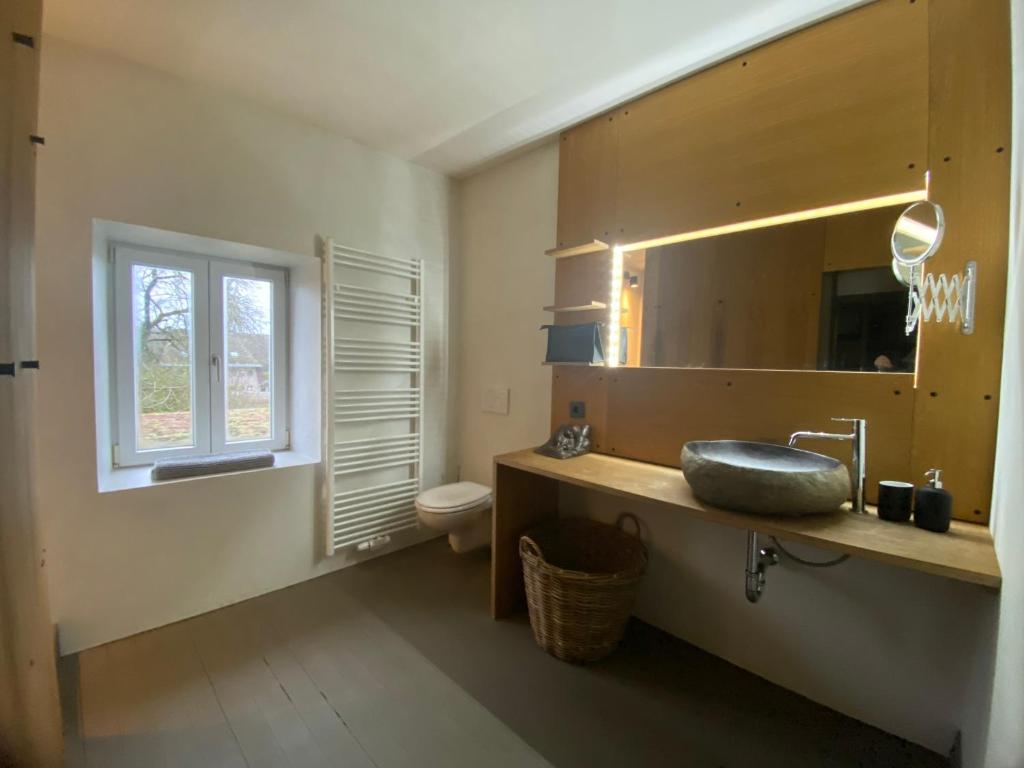 un bagno con lavandino, water e specchio di Tailor's Trail gîte d'adventure Beaufort Mullerthal a Beaufort