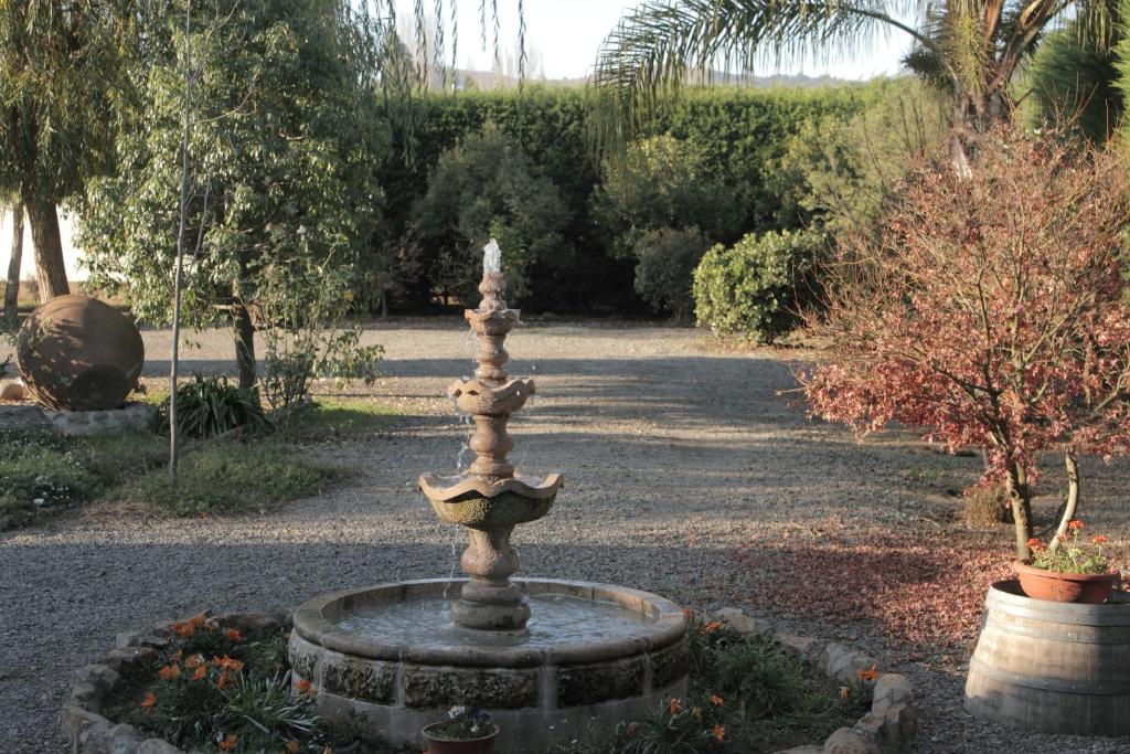 Um jardim no exterior de Hotel Posada Colchagua