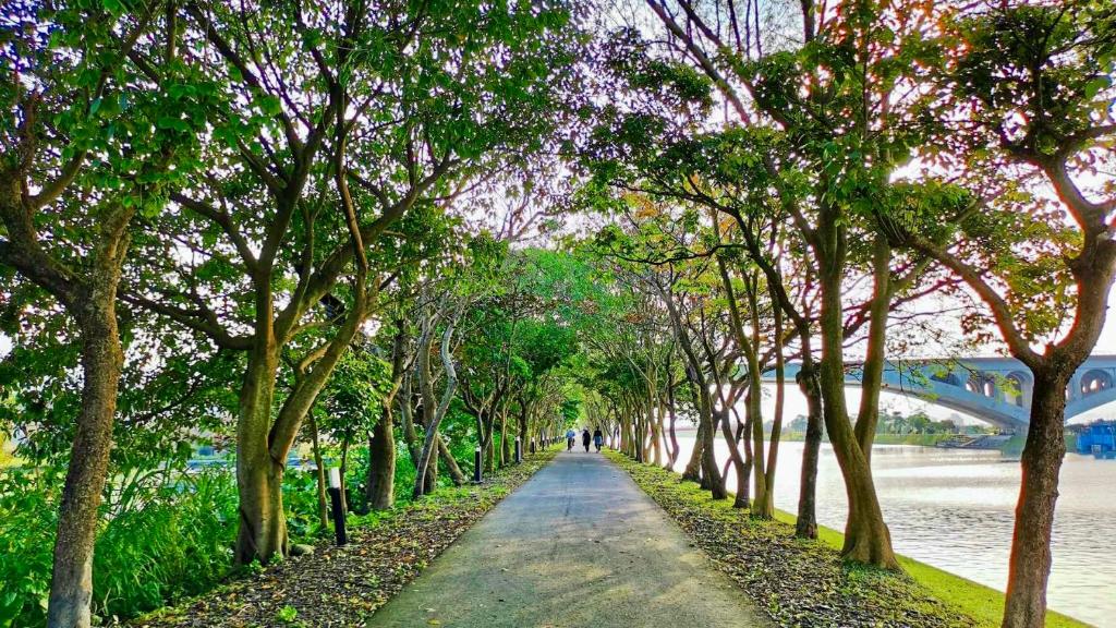 a tree lined path in a park next to a river at Kitefarm in Dongshan