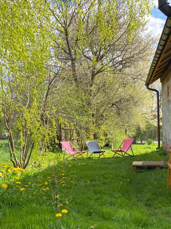 Zahrada ubytování Całoroczna agroturystyka Letnisko Klocówka Roztocze