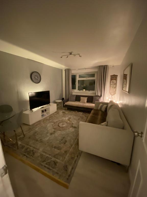 One Bedroom Flat in Chiswick W4 في لندن: غرفة معيشة بها أريكة وتلفزيون