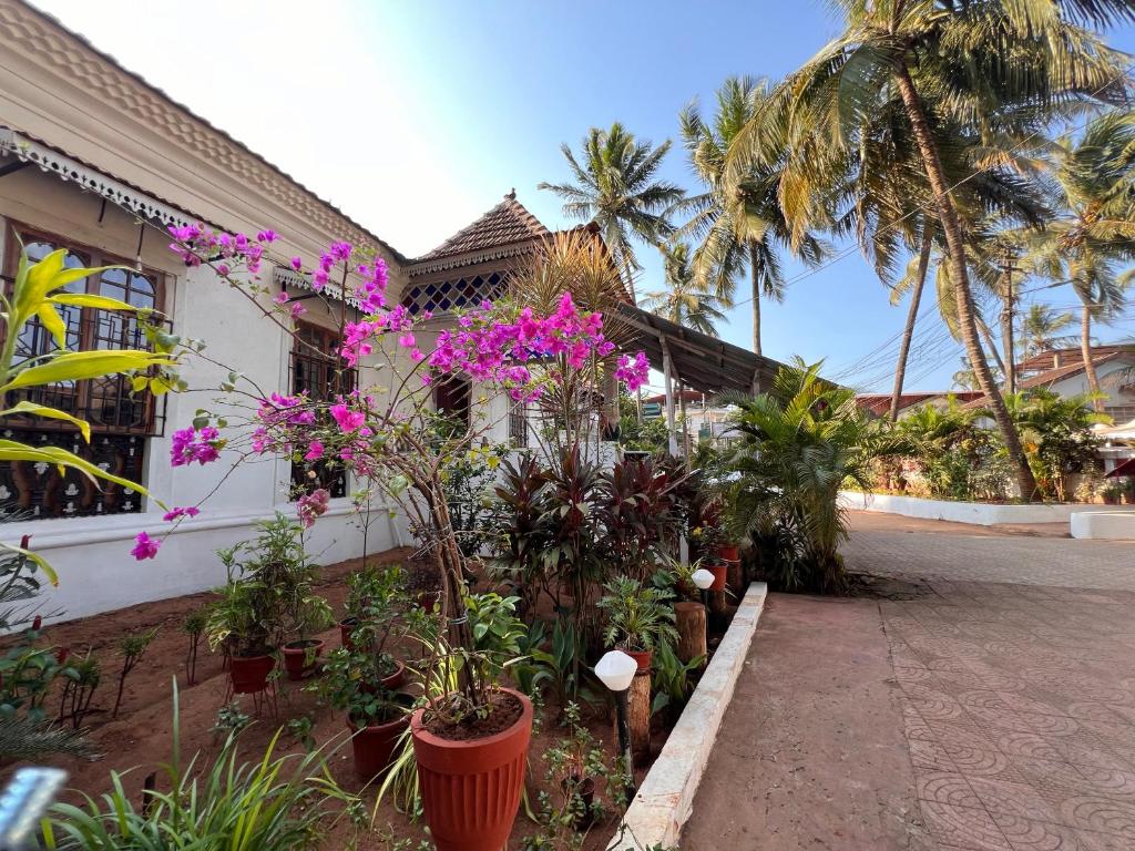 a house with a bunch of plants and palm trees at Fatima Guest House in Baga