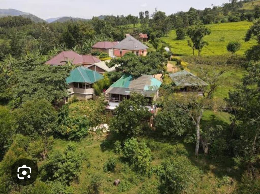 an aerial view of a house in a field at Bwindi My Home in Kinkizi