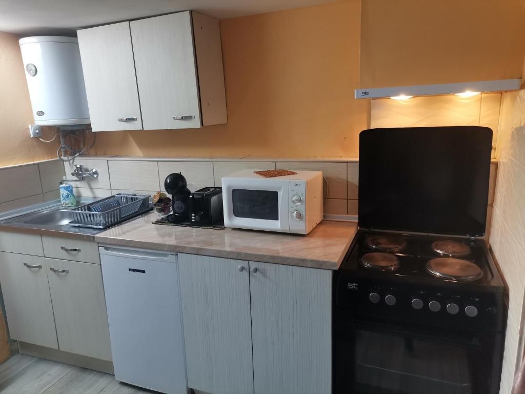 a kitchen with a stove and a microwave at Apartments Krste in Trpejca