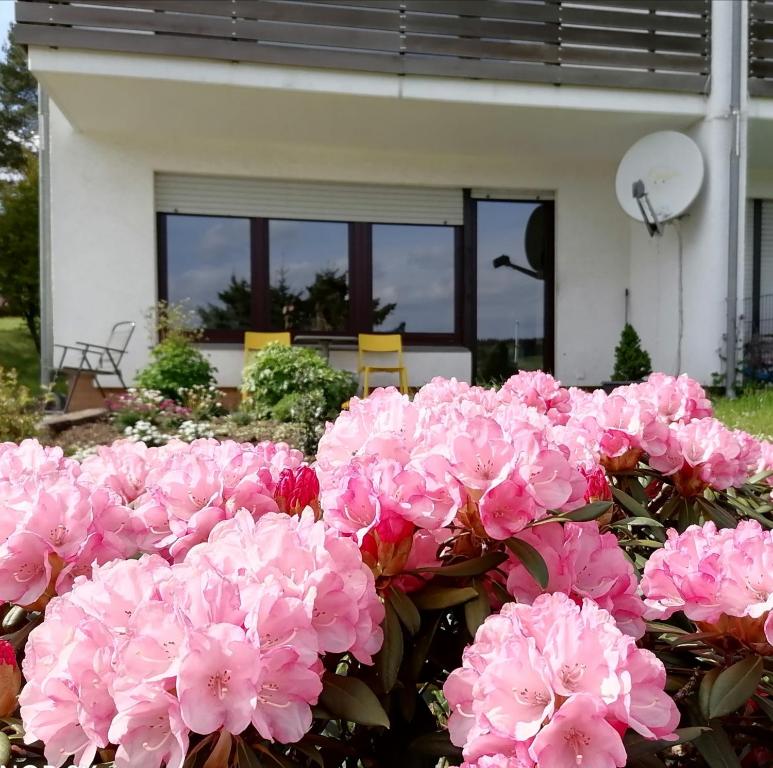 a bunch of pink flowers in front of a house at Fewo Silberborn - Weserbergland (Fam. Oehler) in Holzminden