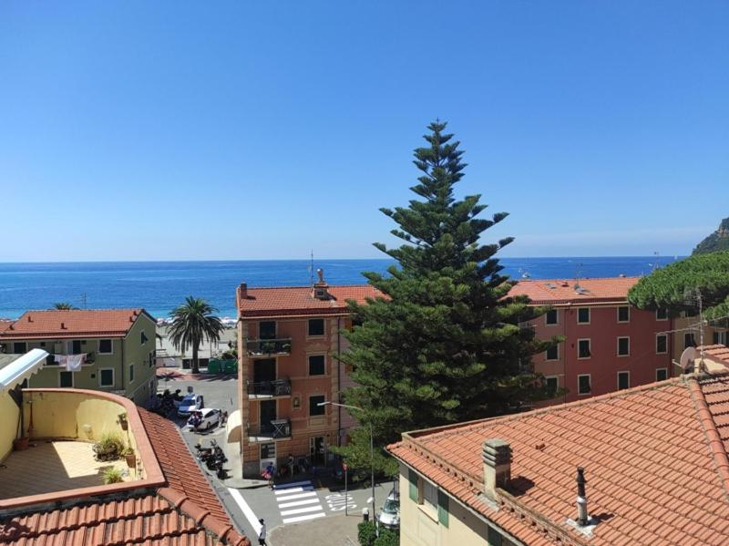 eine große Kiefer auf einem Gebäude in der Unterkunft La tua casa sul mare in Sestri Levante