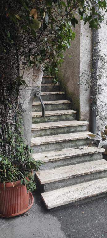 um conjunto de escadas com plantas no lado de um edifício em Casa Berlai, bilocale sul lago em Pisogne