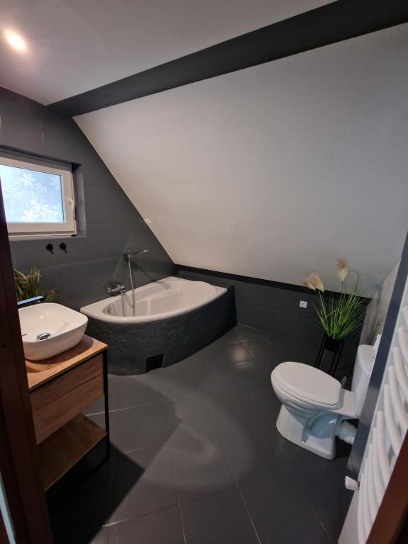 Kúpeľňa v ubytovaní Apartamenty Pod Sosnami Ostróda Międzylesie 6os