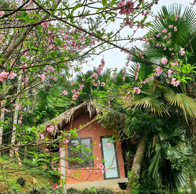 uma pequena casa rodeada por árvores com flores cor-de-rosa em Ngòi Xanh Ecolodge (Bungalow - Restaurant - Coffee) em Tuyên Quang