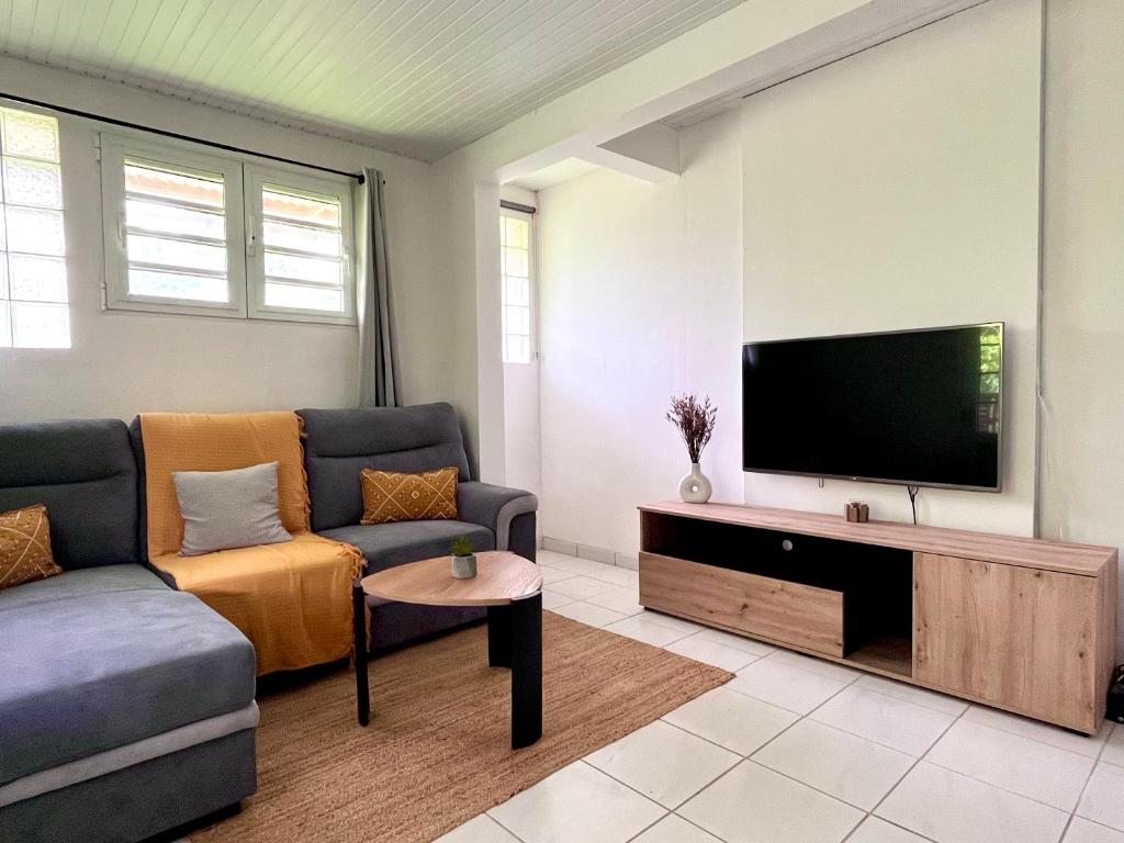 TV a/nebo společenská místnost v ubytování Appartement Le Colibri avec jacuzzi