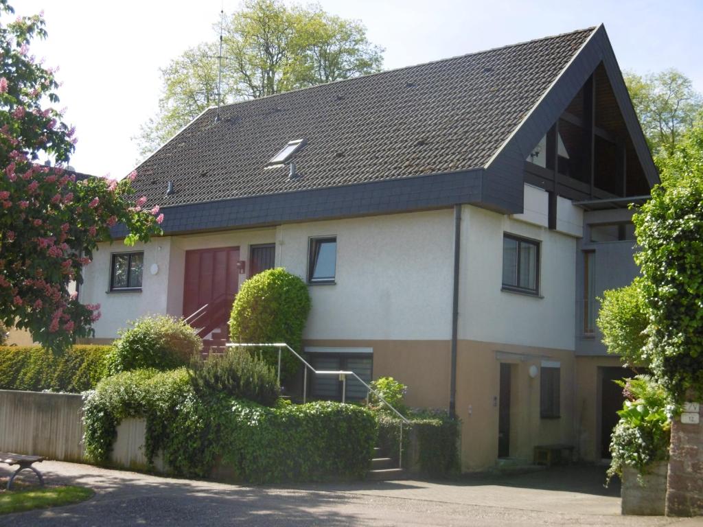 a house with a black roof at Ferienwohnung Ettenheim in Ettenheim