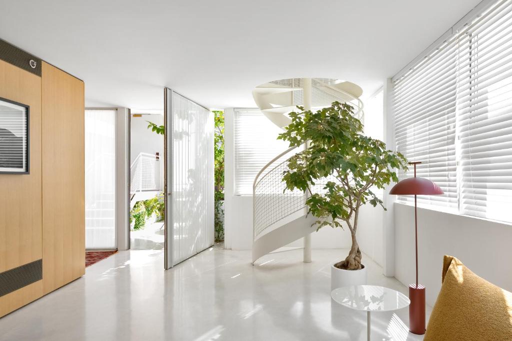 a living room with a table and a potted plant at Rothschild 69 in Tel Aviv