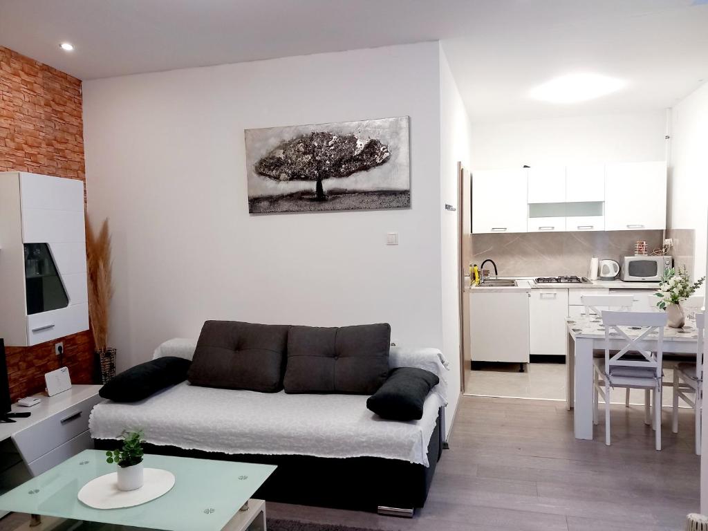 Apartment Centar - 4