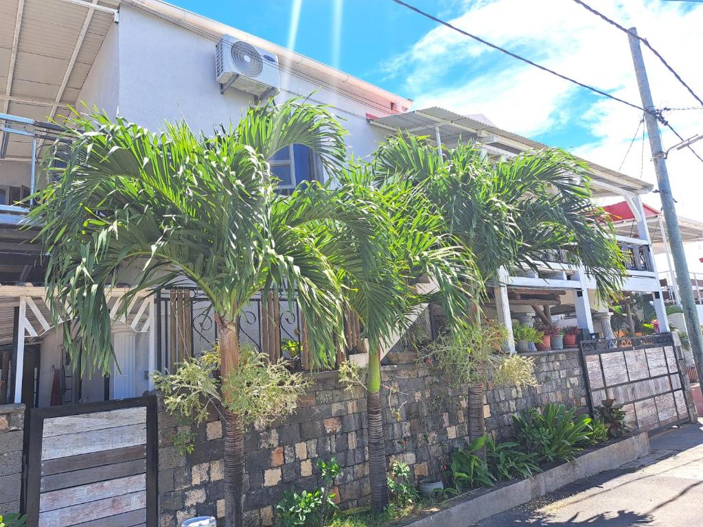 a fence with palm trees in front of a house at Beach front apartment in Grand Gaube